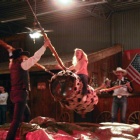 Barrel Rodeo är kvällsunderhållning för cowboys som vill kastas av utan att slå ihjäl sig! På konferenser och fester är det ett mycket populärt inslag.